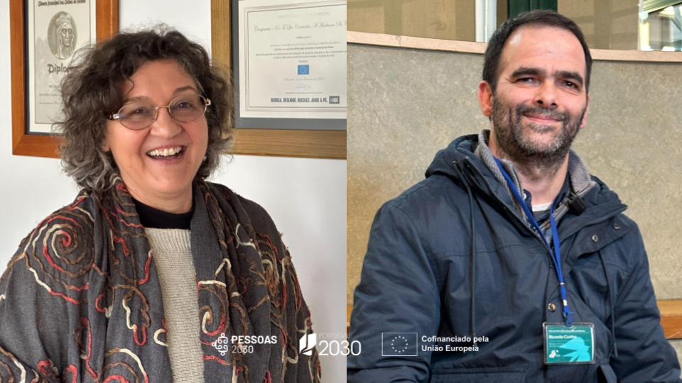 Mercado social de emprego